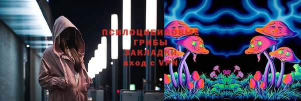 PSILOCYBIN Аркадак