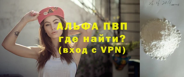 PSILOCYBIN Аркадак