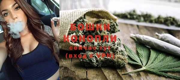 ГАЛЛЮЦИНОГЕННЫЕ ГРИБЫ Армянск