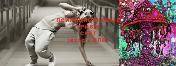 ГАЛЛЮЦИНОГЕННЫЕ ГРИБЫ Армянск