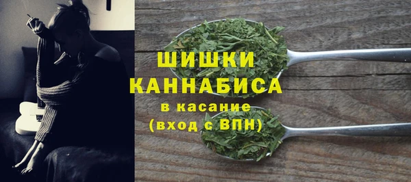 PSILOCYBIN Аркадак