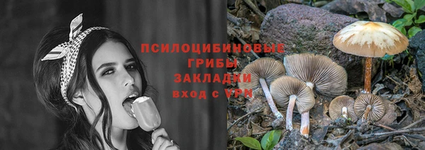 PSILOCYBIN Аркадак