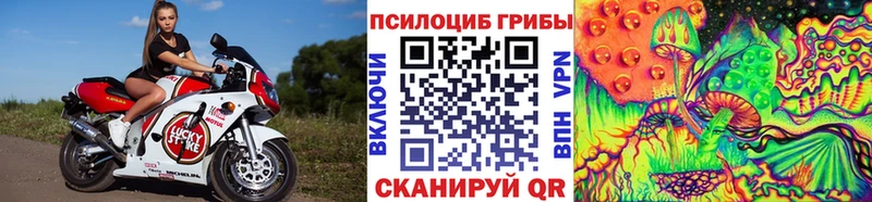 omg ссылки  Учалы  Галлюциногенные грибы мухоморы 
